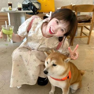 屈伏塔与我